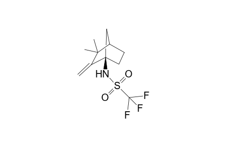 (1R)-N-(3,3-Dimethyl-2-methylidene-1-norboryl)triflamide