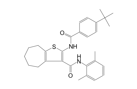 2-[(4-tert-butylbenzoyl)amino]-N-(2,6-dimethylphenyl)-5,6,7,8-tetrahydro-4H-cyclohepta[b]thiophene-3-carboxamide