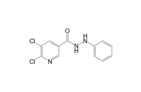 Pyridine-3-carbohydrazide, 5,6-dichloro-N2-phenyl-