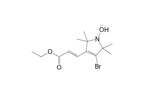 3-Bromo-2,2,5,5-tetramethyl-4-[(1E)-3-ethoxyprop-1-enyl]-2,5-dihydro-1H-pyrrol-1-yloxyl radical