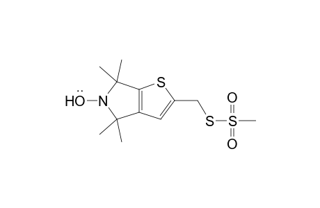 2-(Methylsulfonylthiomethyl)-4,4,6,6-tetramethyl-4,6-dihydro-5H-thieno[2,3-c]pyrrol-5-yloxyl radical