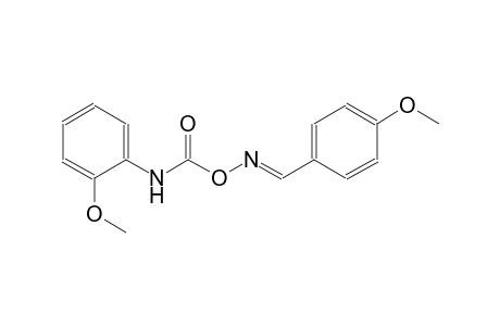 benzene, 1-methoxy-2-[[[[[(E)-(4-methoxyphenyl)methylidene]amino]oxy]carbonyl]amino]-