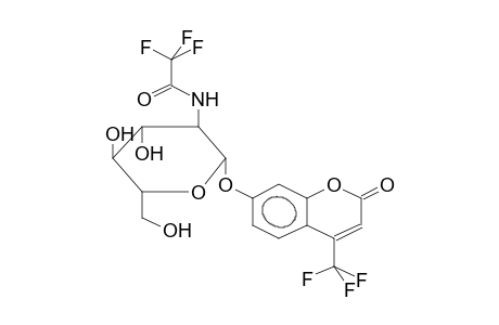 4-TRIFLUOROMETHYLUMBELLIFERYL 2-TRIFLUOROACETAMIDO-2-DEOXY-BETA-D-GLUCOPYRANOSIDE