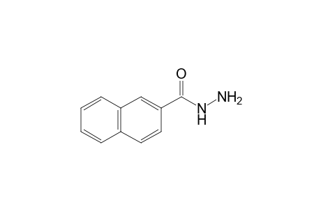 2-Naphthoylhydrazine