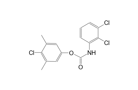 4-chloro-3,5-dimethylphenyl 2,3-dichlorophenylcarbamate