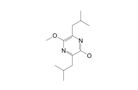 2-HYDROXY-3,6-DIISOBUTYL-5-METHOXYPYRAZINE