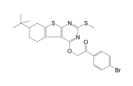 1-(4-bromophenyl)-2-{[7-tert-butyl-2-(methylsulfanyl)-5,6,7,8-tetrahydro[1]benzothieno[2,3-d]pyrimidin-4-yl]oxy}ethanone