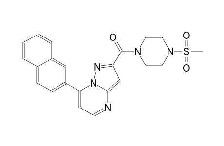 2-{[4-(methylsulfonyl)-1-piperazinyl]carbonyl}-7-(2-naphthyl)pyrazolo[1,5-a]pyrimidine
