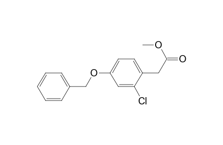 Methyl .alpha.-(4-phenylmethoxy-2-chloro-phenyl)-acetate