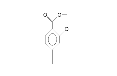 Benzoic acid, 4-(1,1-dimethylethyl)-2-methoxy-, methyl ester