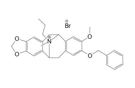 9-O-Benzyl-N-propylcaryachine N-methobromide