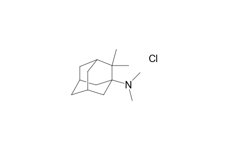 N,N-Dimethyl(2,2-dimethyladamant-1-yl)amine hydrochloride
