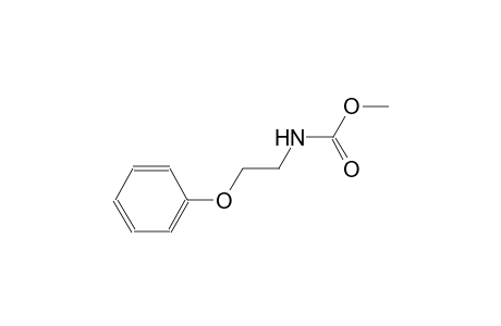Carbamic acid, N-[2-(phenoxyethyl)]-, methyl ester