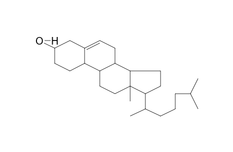 19-NORCHOLESTEROL