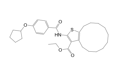 ethyl 2-{[4-(cyclopentyloxy)benzoyl]amino}-4,5,6,7,8,9,10,11,12,13-decahydrocyclododeca[b]thiophene-3-carboxylate