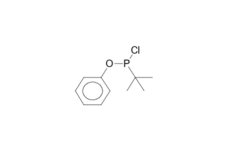 PHENYL TERT-BUTYLCHLOROPHOSPHONITE