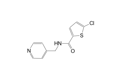 5-chloro-N-(4-pyridinylmethyl)-2-thiophenecarboxamide