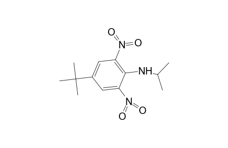 Benzenamine, 4-(1,1-dimethylethyl)-N-(1-methylethyl)-2,6-dinitro-