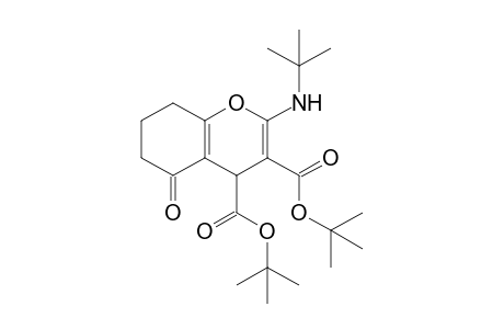 2-(tert-butylamino)-5-keto-4,6,7,8-tetrahydrochromene-3,4-dicarboxylic acid ditert-butyl ester