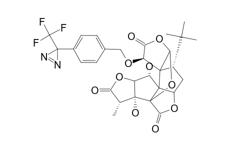 10-O-(TRIFLUOROMETHYL-3H-DIAZIRINE)-BENZYL-GINKGOLIDE-B