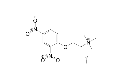 Ethanaminium, 2-(2,4-dinitrophenoxy)-N,N,N-trimethyl-, iodide, salt