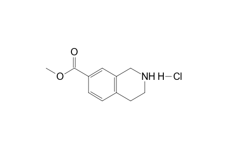 1,2,3,4-tetrahydroisoquinoline-7-carboxylic acid methyl ester hydrochloride