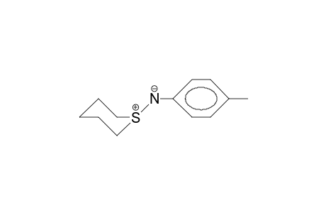 N-(4-Tolyl)-thiane-1-imide