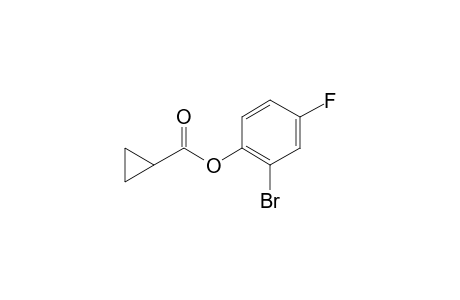 2-Bromo-4-fluorophenyl cyclopropanecarboxylate