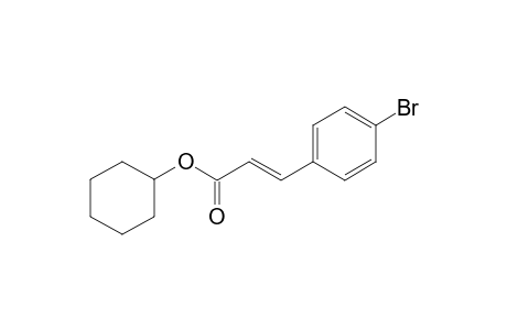 (E)-Cyclohexyl 3-(4-bromo-phenyl)acrylate