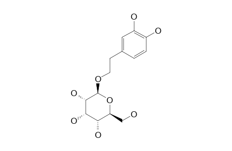 3,4-DIHYDROXYPHENYLETHYL-BETA-ALLOPYRANOSIDE