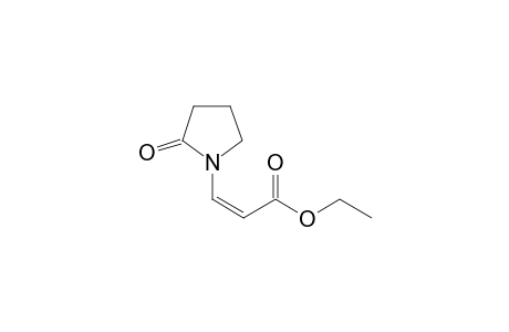 (Z)-3-(2-ketopyrrolidino)acrylic acid ethyl ester