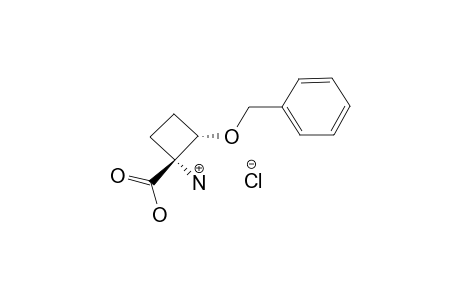 (1R*,2S*)-1-AMINO-2-BENZYLOXYCYCLOBUTANE-1-CARBOXYLIC-ACID-HYDROCHLORIDE