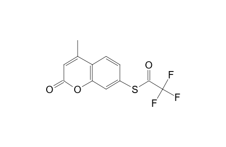 7-Mercapto-4-methylcoumarin, S-trifluoroacetyl-