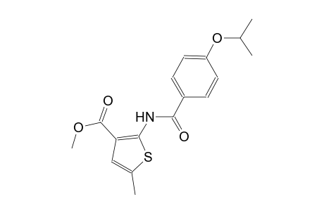 methyl 2-[(4-isopropoxybenzoyl)amino]-5-methyl-3-thiophenecarboxylate