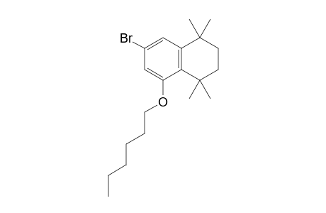 7-Bromo-5-hexyloxy-1,1,4,4-tetramethyl-1,2,3,4-tetrahydronaphthalene