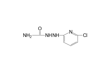 1-(6-CHLORO-2-PYRIDYL)SEMICARBAZIDE