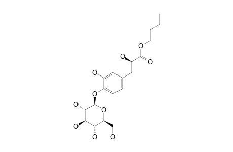 TERNATOSIDE-B;(R)-3-[3-HYDROXY-4-(O-BETA-D-GLUCOPYRANOSYL)-PHENYL]-2-HYDROXYPROPANOIC-ACID-BUTYLESTER