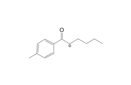 MPHP-M (HOOC-sidechain) MS3_2