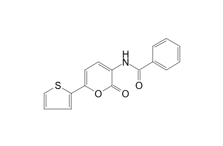 N-[2-Oxo-6-(2-thienyl)-2H-pyran-3-yl]benzamide