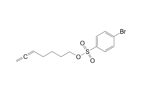 Hepta-5,6-dien-1-yl 4-bromobenzenesulfonate