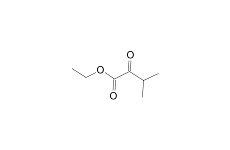 Ethyl 3-methyl-2-oxobutyrate