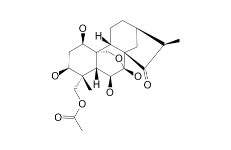 ISOROSTHIN_H;19-ACETOXY-1-BETA,3-BETA,6-BETA,7-BETA-TETRAHYDROXY-7-ALPHA,20-EPOXY-ENT-KAUR-15-ONE
