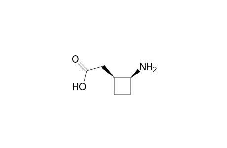 Cyclobutaneacetic acid, 2-amino-, cis-