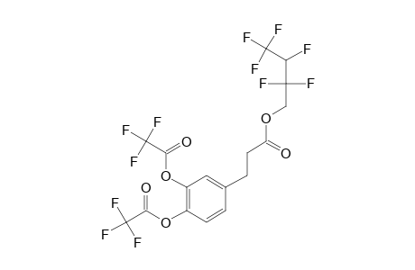 3,4-Dihydroxyhydrocinnamic acid, o,o'-bis(trifluoroacetyl)-, 2,2,3,4,4,4-hexafluorobutyl ester