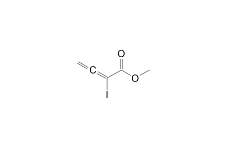 2-iodobuta-2,3-dienoic acid methyl ester