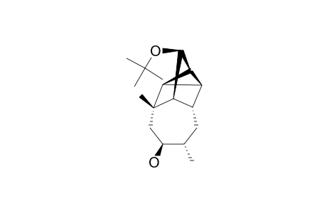 (1S*,2S*,3S*,4S*,5S*,6R*,7R*,9S*,10S*)-5-TERT.-BUTOXY-7,10-DIMETHYL-TETRACYCLO-[5.4.0.0-(2,4).0-(3,7)]-UNDECAN-9-OL