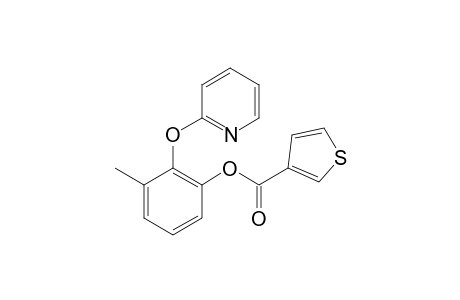 3-Methyl-2-(pyridin-2-yloxy)phenyl thiophene-3-carboxylate