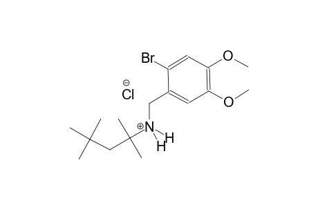 N-(2-bromo-4,5-dimethoxybenzyl)-2,4,4-trimethyl-2-pentanaminium chloride
