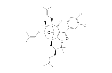 30-EPI-CAMBOGIN