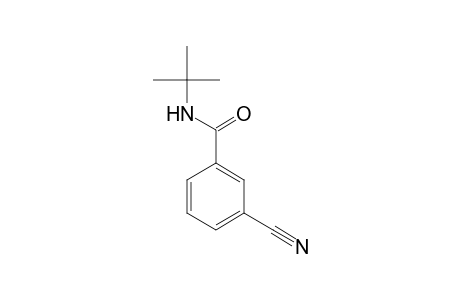 N-tert-Butyl-3-cyanobenzamide
